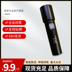 懐中電灯の強い光が超明るい充電可能な家庭用屋外の長距離航続型緊急ランプ携帯照明懐中電灯