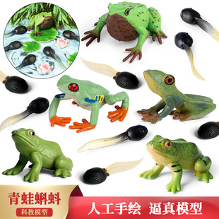 �ɗ��������ܳ��L���ڷ���С����ҋ�����ͯ���Ͻ̾߶YƷ���ģ��