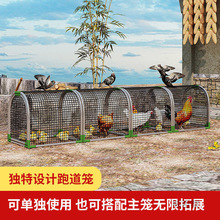 大号鸡笼跑道室外鸭笼鹅笼兔笼家禽防雨笼子搭建简易鸡舍养垒德株