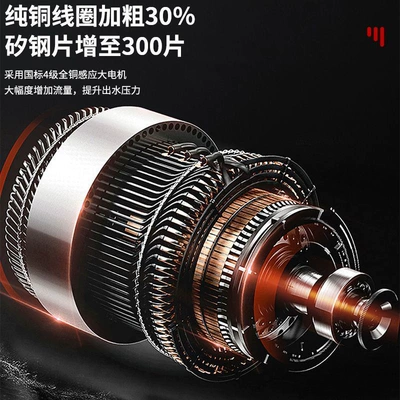 Portable car washer: High-Pressure Industrial Grade Imported Ar