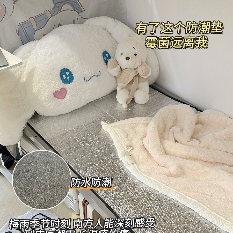 Moisture-Proof Mat for Student Dormitory Beds, Anti-Mold and Dehumidification Mattress, Household Bed Board to Remove Moisture and Absorb Moisture