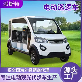 电动观光车;其他电动车;工具车