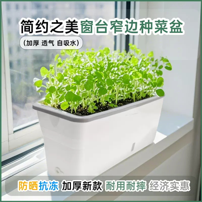 草莓塑料种植箱长条窄边自吸水阳台长方形盆栽懒人花盆花槽种菜盆