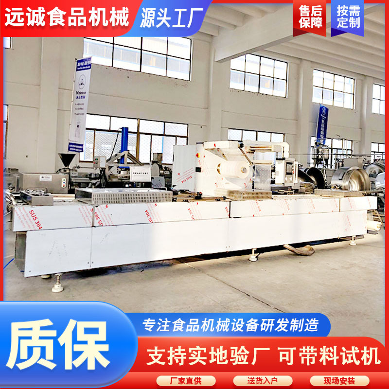 千页豆腐真空包装机 自动真空包装机 连续拉伸 LZ-420真空包装机