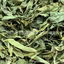 �����]���n�ݲ��~���{�컨�h�۲� ÿ��500�� ��ʮ��С�r�l؛