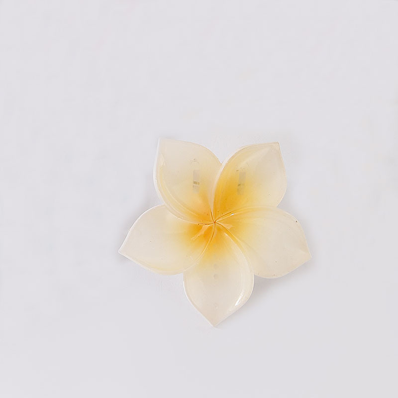 跨境热销鸡蛋花花朵发夹海边度假鲨鱼夹紫荆花盘发夹子时尚头饰女|undefined