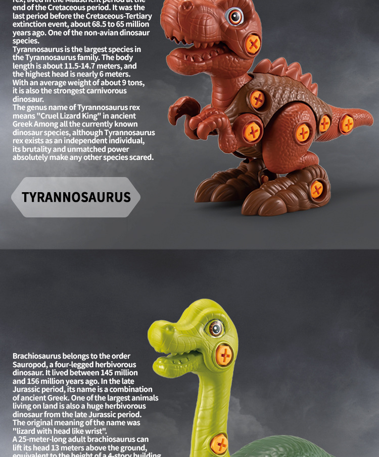 拼装恐龙英文详情图_06.jpg
