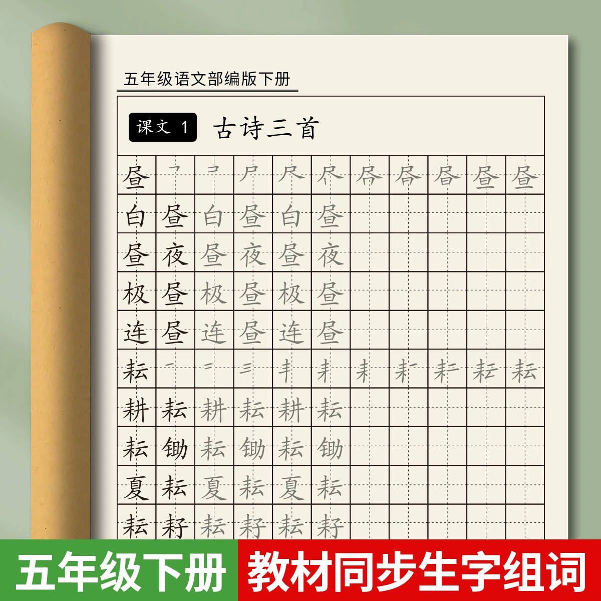 Пятиклассные тетради