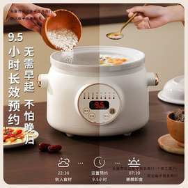 炖汤养生电辅食炖锅家用全自动L锅紫砂KG煲汤锅电砂锅日本煮包邮