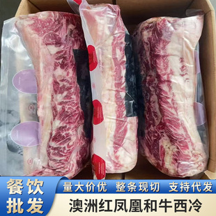 ���޼t�P�˺�ţ����M4-5�⼹���ѩ��ţ��ԭ������ţ�����l