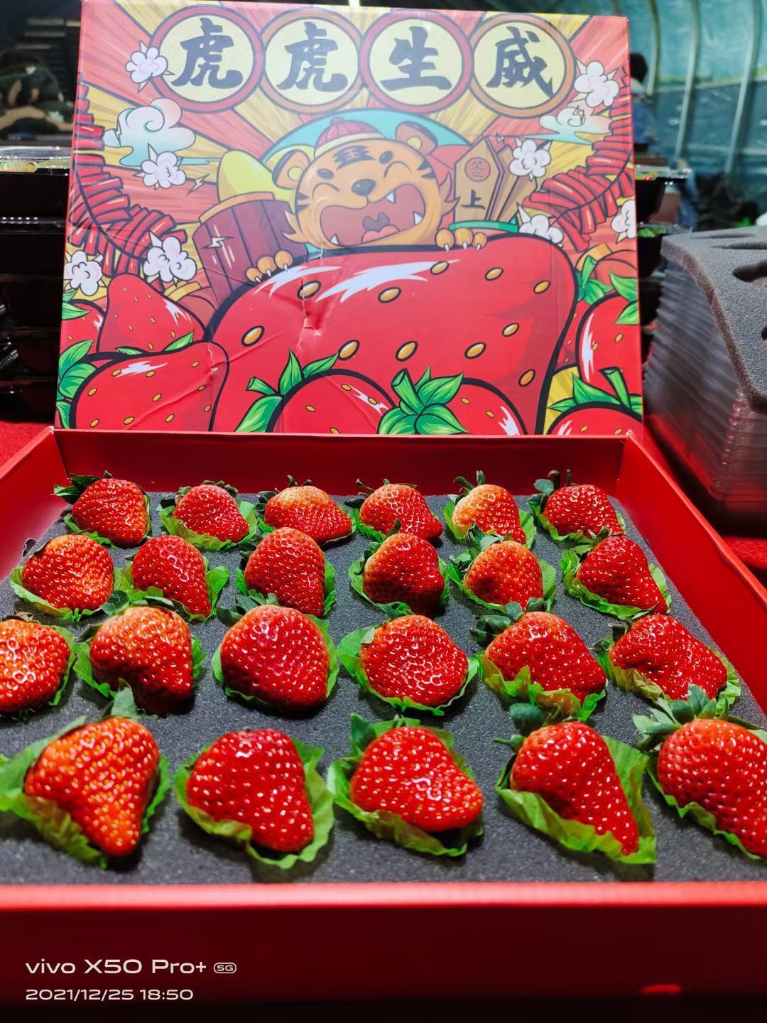 厂家供应黑色草莓缓冲包装内衬泡沫/内衬黑色草莓心形海绵包装