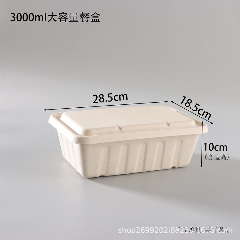 パルプ箱 大容量 サトウキビパルプ包装箱 大型 2500ml 3000ml シーフードテイクアウト弁当箱|undefined