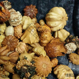 �J�wī�������Ǻ��J���Ϲ��߲��w��������߶���