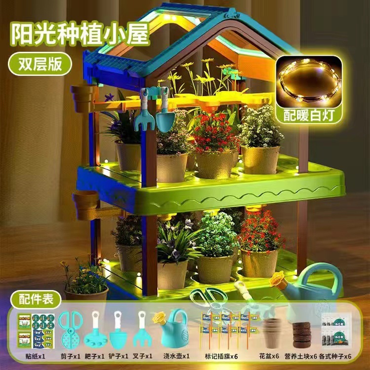 [절묘한 선물 상자] 더블 태양 방 6 씨앗 DIY 라이트 벨트