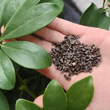 ����ɫPPS40%���w�����w�� �����͸ߜ� �����W���g��܇����������