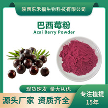 巴西莓粉 巴西莓果粉Acai powder固体饮料原料厂家批发1kg/袋