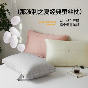 Light Luxury Style Simple Embroidered Naples Summer Classic Silk Pillow Core Single Household Silk Beauty Pillow