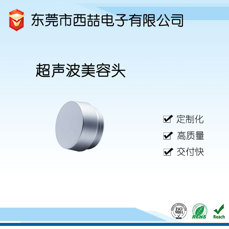 LDT 超声波美容美容换能 美容振子 压电换能器