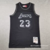 Lakers 23 Retro Snake Print Black