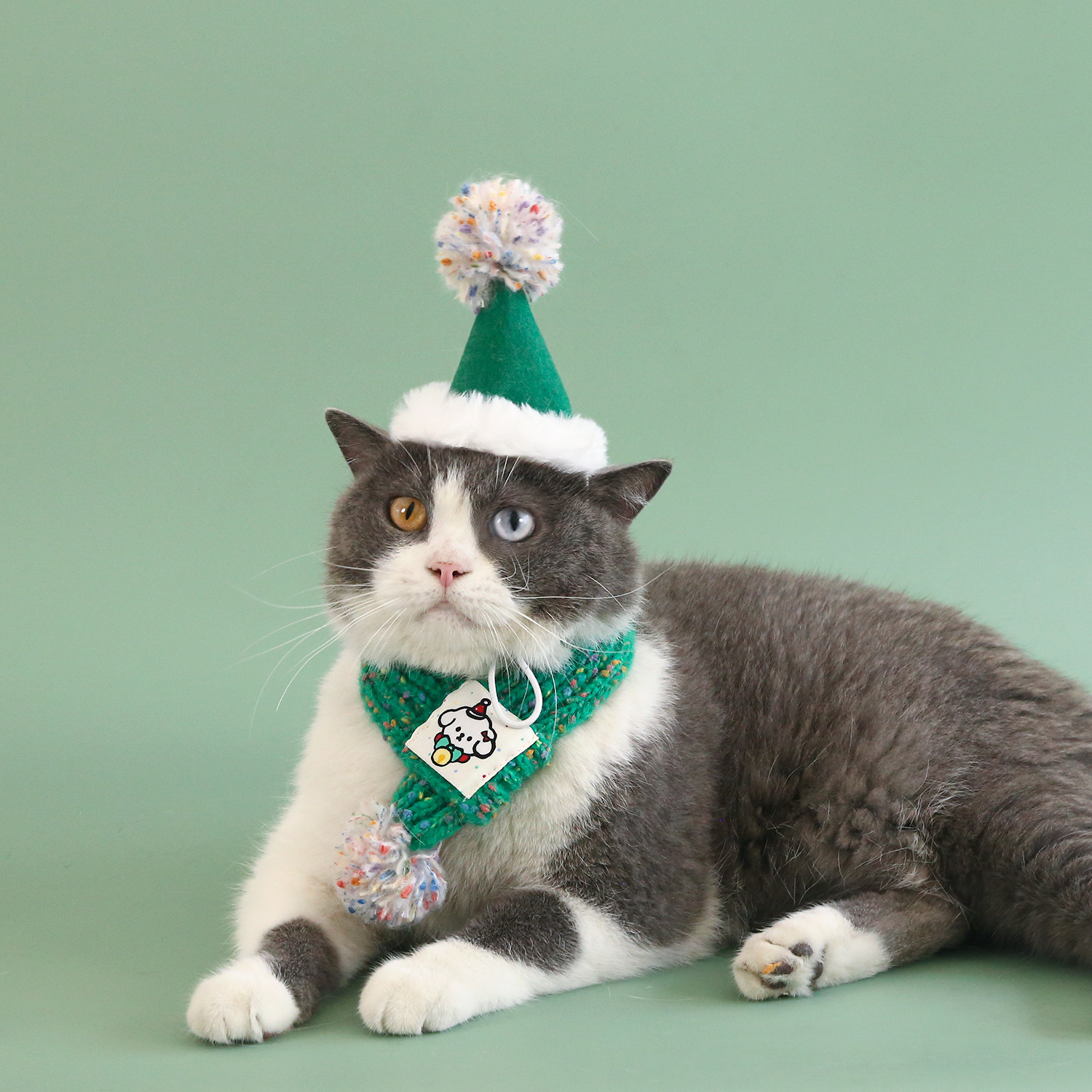 2024 mascotas gatos cachorros fieltro sombrero de Navidad estereoscópico frijoles bola dibujos animados tejido bufandas de lana set bufandas