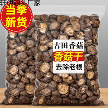 ���︣���㹽��؛�r��Ģ�����㹽���]�����b�o�����l�خa����