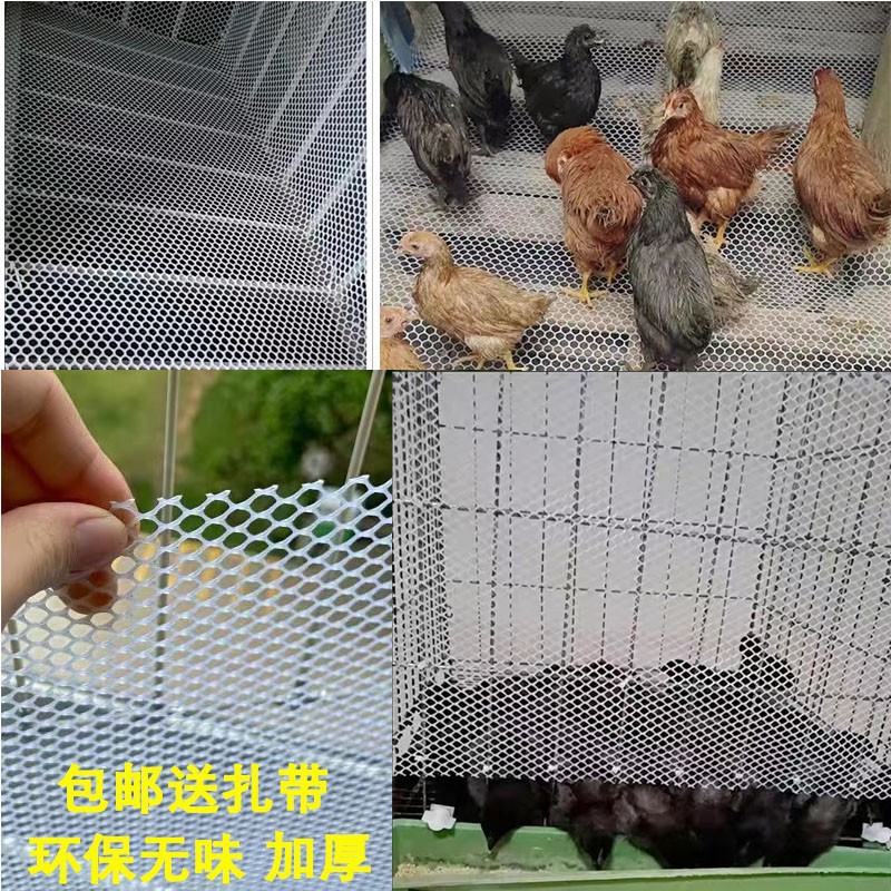 加厚阳台防护网防漏网防猫网鸡笼脚垫鸽笼鸟笼底网漏粪网塑料网