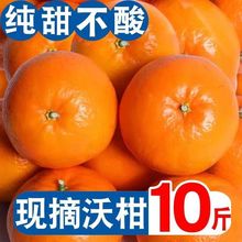 沃柑精选广西武鸣贵妃新鲜橘子水果应季水果薄皮桔子独立站混批