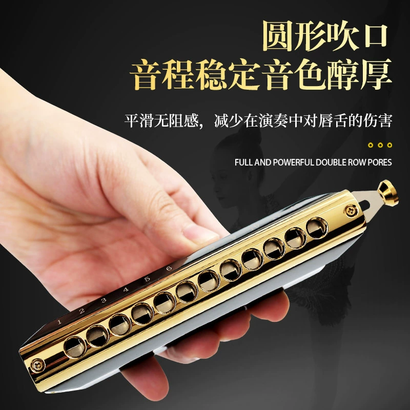 Профессиональная губная гармоника GuoGuang, музыкальные инструменты для начинающих для детей и взрослых