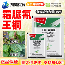 Sͦ 40%~˪߲SR˪ù߲rș