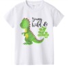 Cartoon dinosaur for boys, children's shirt, T-shirt, Birthday gift