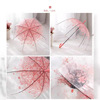 Petal umbrella long -handle girl literary goddess Korean candy color small fresh Apollo princess transparent umbrella