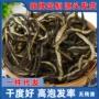 凉拌即食海茸松茸海藻片