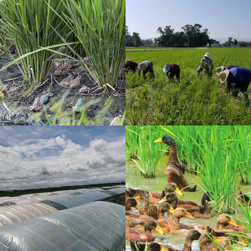 企业微信截图_16571887866377