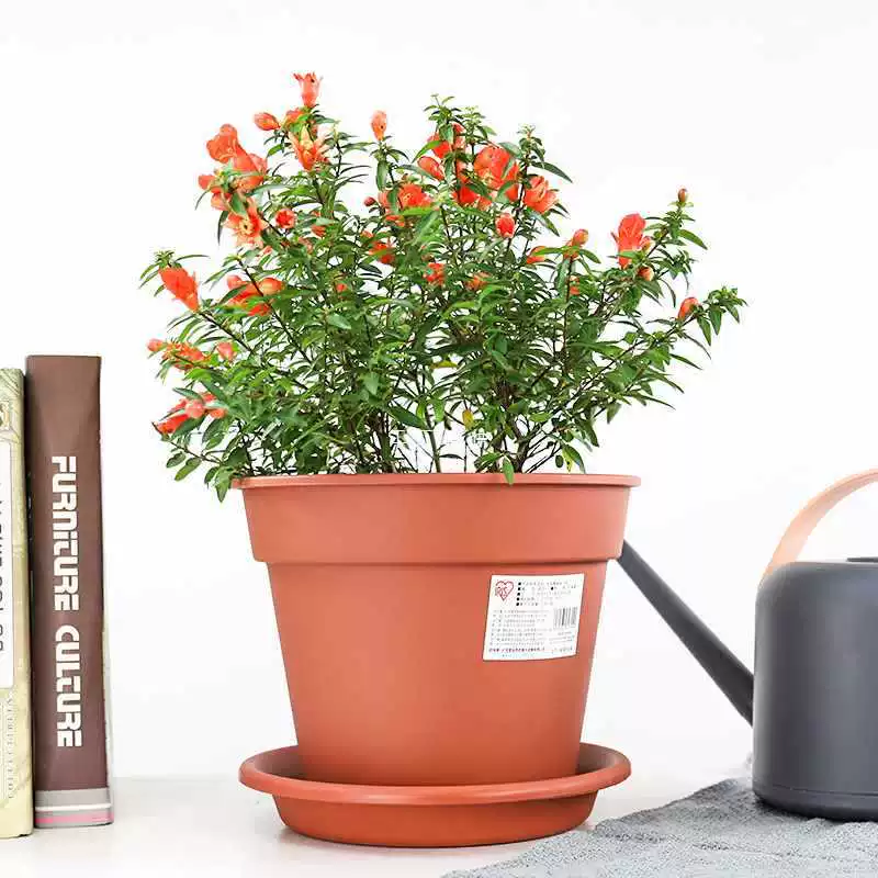 ✅ Цветочный горшок Алиса, простой однотонный стиль, садовый цветочный горшок, суккулентный горшок для розы, простой цветочный горшок большого диаметра