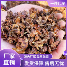 �����l�°ؚ���؛Ұ��ɢ�b���њ����^����מ��l�ٰ��^�Ȱ��~��