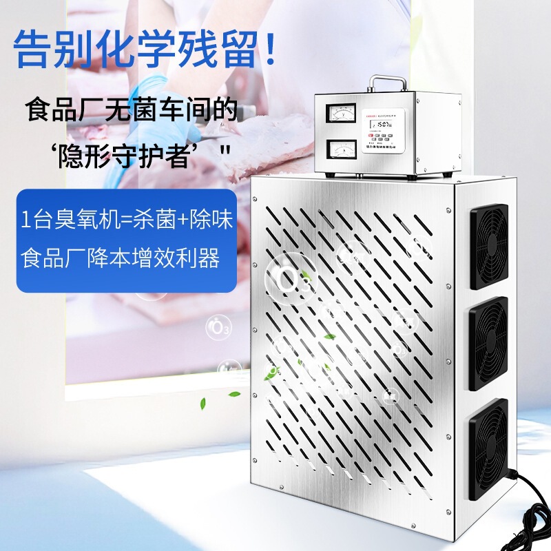 Built-In Central Air Conditioning Ozone Disinfection Machine, Ozone Generator for Air Purification in Food Factories, Workshops, and Warehouses