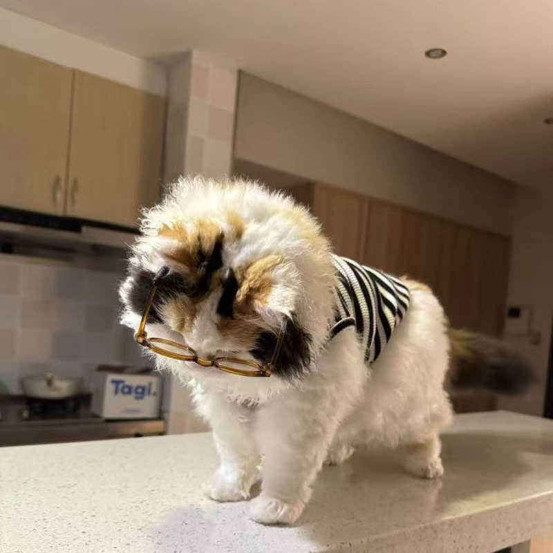 Ropa de gato de verano delgada perro pequeño anti-pello transpirable plata gradiente lindo gato de patas cortas chaleco a rayas