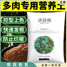 多肉植物营养土大包肥料花卉盆栽养花通用型蔬菜陶粒种植土