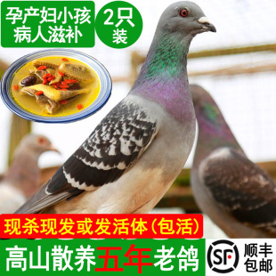 2ֻ�b���r�����F�����r���w5���ϸ�ɽɢ�B�������r�ЋD�����ߵ���