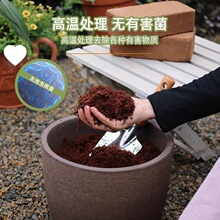 �I�B���B���̨�N��Ó�}�NֲҬ��ͨ��������Ҭ����}�؃rҮ�u