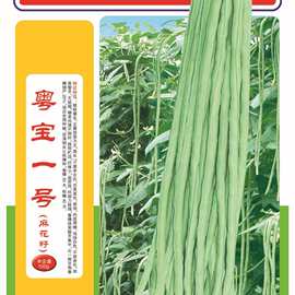 100克:(油白)粤宝一号长豆角种子 豇豆种子  豆角种子 长豆角种籽