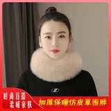 Шарф, универсальный демисезонный удерживающий тепло фальшивый воротник, популярно в интернете, с защитой шеи