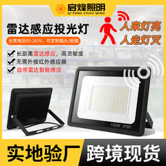 跨境雷达感应投光灯30w户外led投光灯长远距离高灵敏度感应投光灯