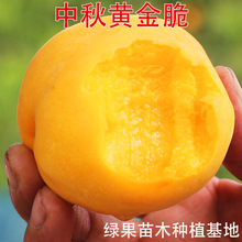 �S�������� �����S��� �S�Ҙ��� �S���� �޽����� �Ϸ������Nֲ