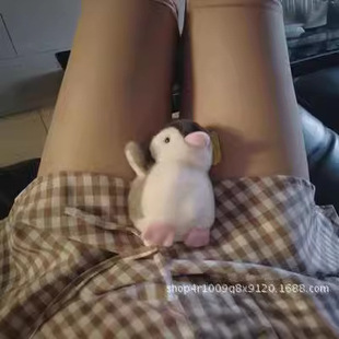 �S��ֱ�N2019�¿���ȴ��_�����Zë�q��߿�ͨ��żС���в����ޒ�