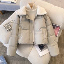 PUƤ�޷�Ů��������2024���¿���q���¶��������që�Iƴ�����\