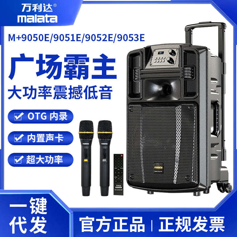 Wanlida Giant 9051E Square Dance Audio Outdoor High Power Karaoke Live Broadcast Mobile Trolley Speaker with Sound Card