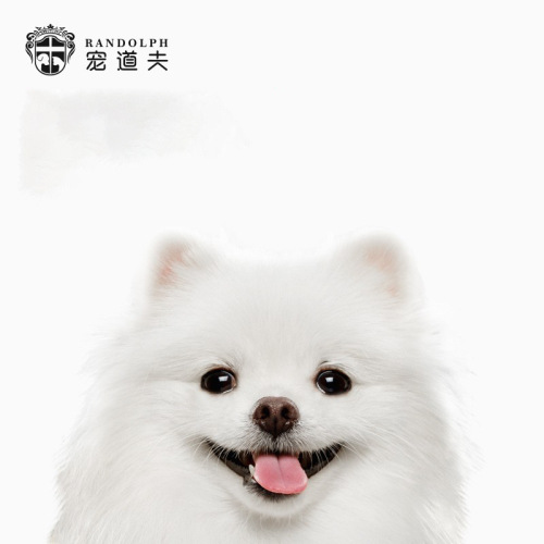 Pet Doufu dog food, general purpose for small and medium-sized dogs, adult dogs and puppies, Teddy Golden Retriever, Bichon pet food, wholesale and delivery