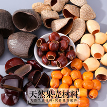 印尼黑果夹竹桃果壳材料散装纯手工diy疗愈果壳风铃摇铃配件批发