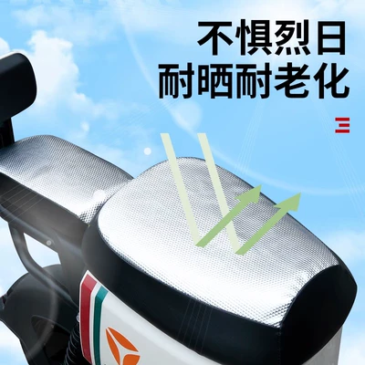 DE/DE8/V/DE/DS6 waterproof and sun-proof — Electric car cushion